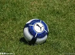 独家揭秘,切尔西,月最佳进球,OD体育官网,OD体育直播,体育赛事直播,足球直播