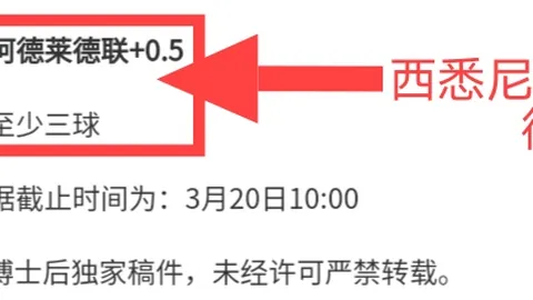 “老鹰败北，维金斯库里携手领航西部领先阵营”